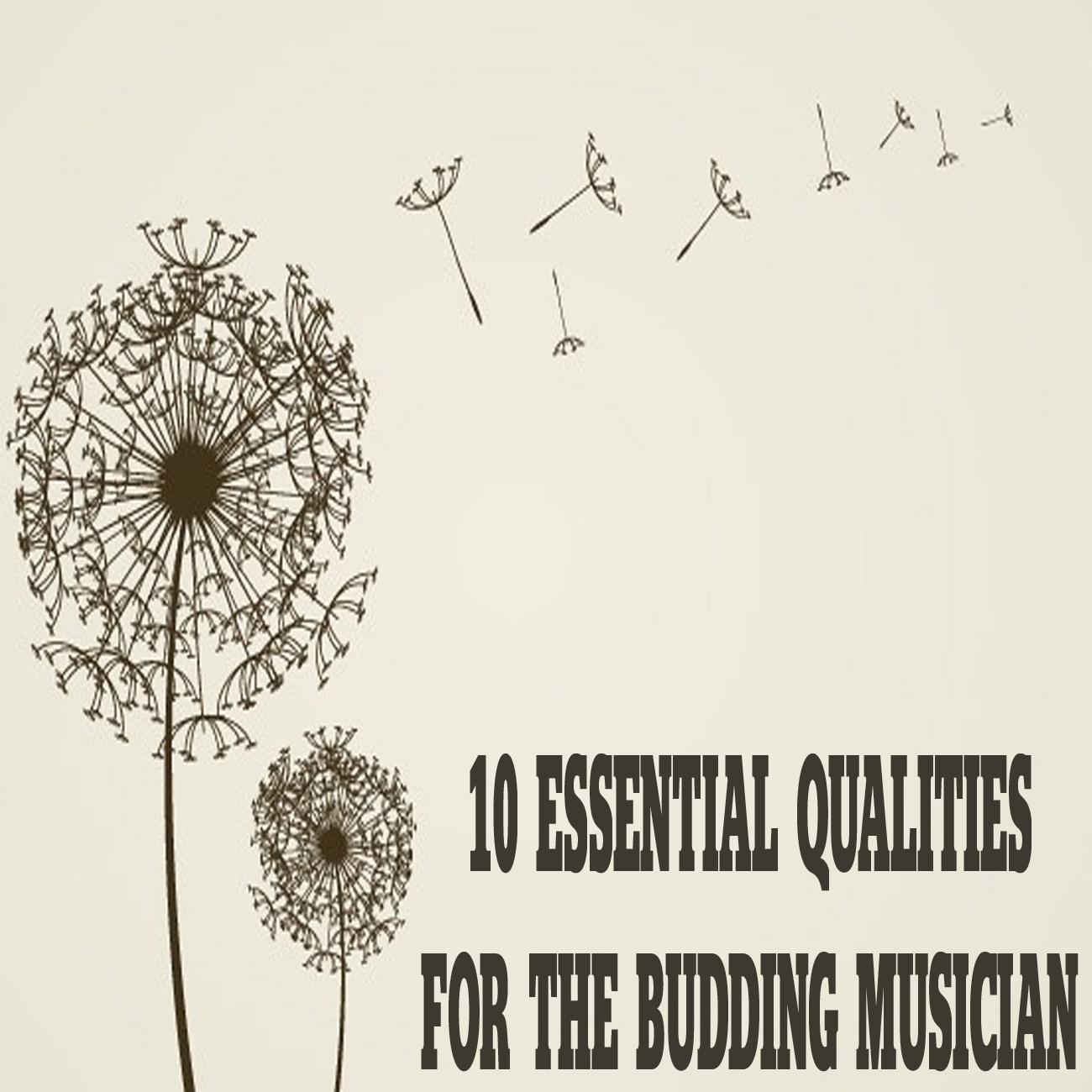10 essential qualities for the budding musician